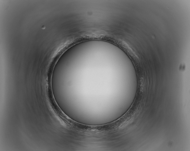 X0000091460634200708161107