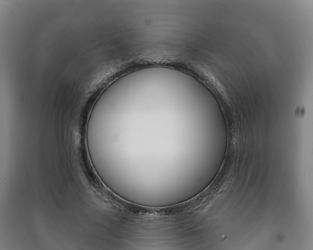 X0000091460635200708161107