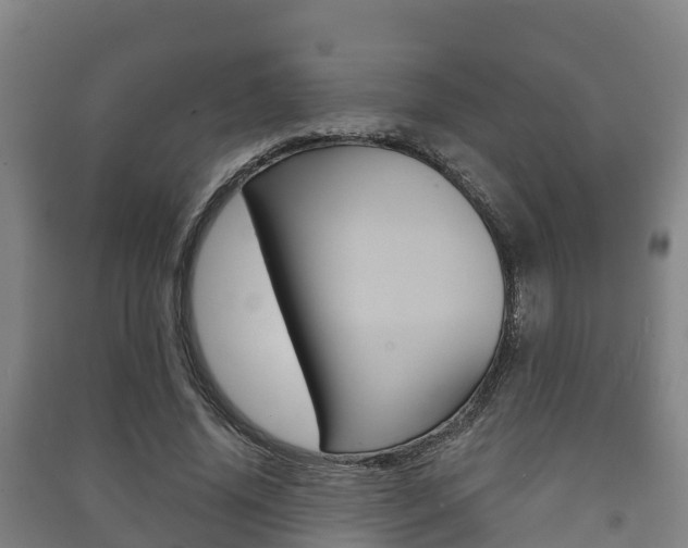 X0000091460636200708161107