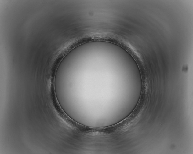 X0000091460637200708161107