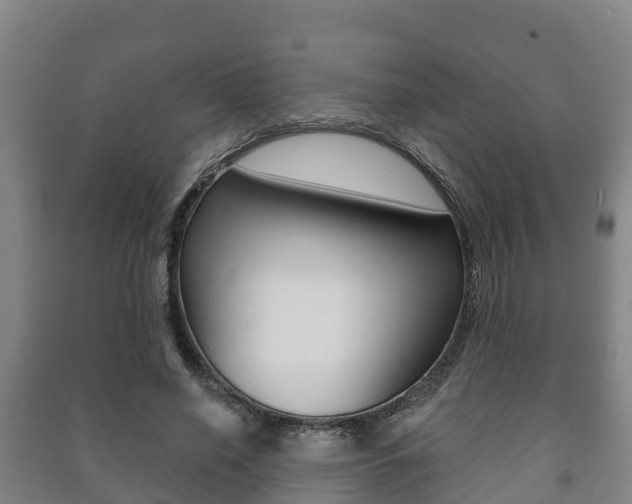 X0000091460638200708161107