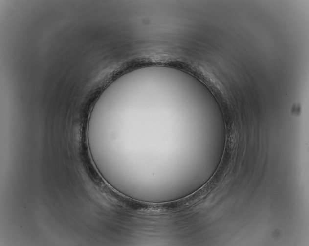 X0000091460639200708161107