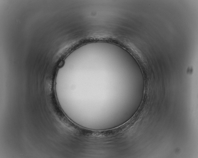 X0000091460640200708161107