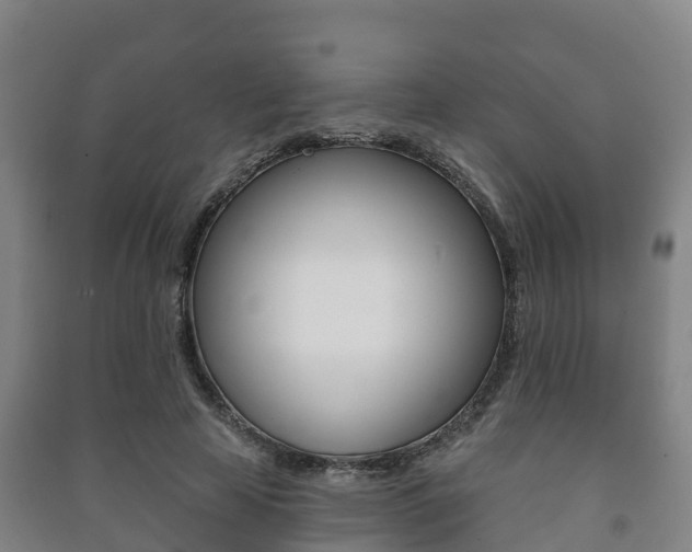 X0000091460641200708161108