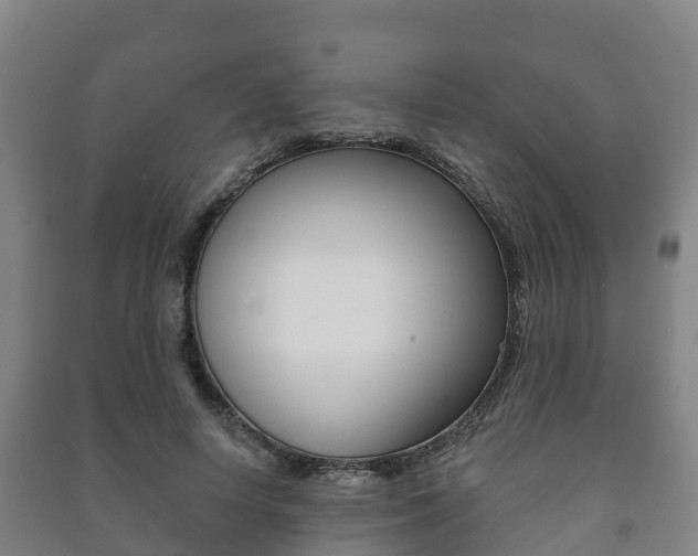 X0000091460642200708161108