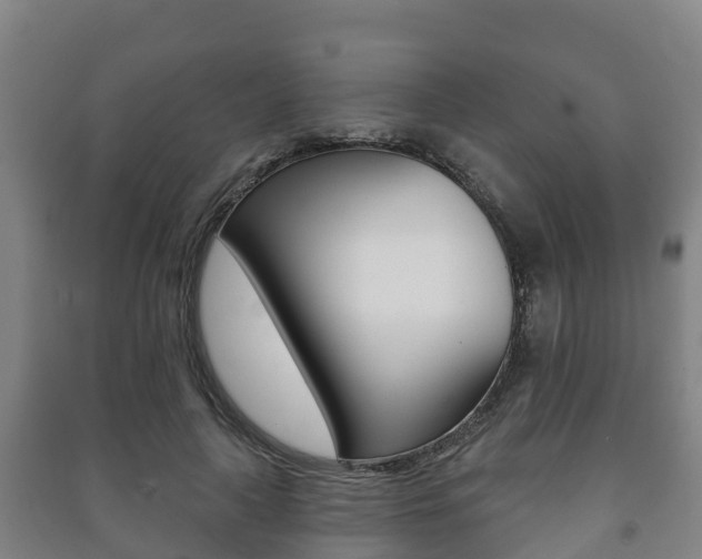 X0000091460643200708161108