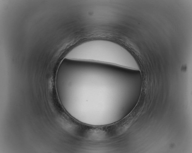 X0000091460644200708161108