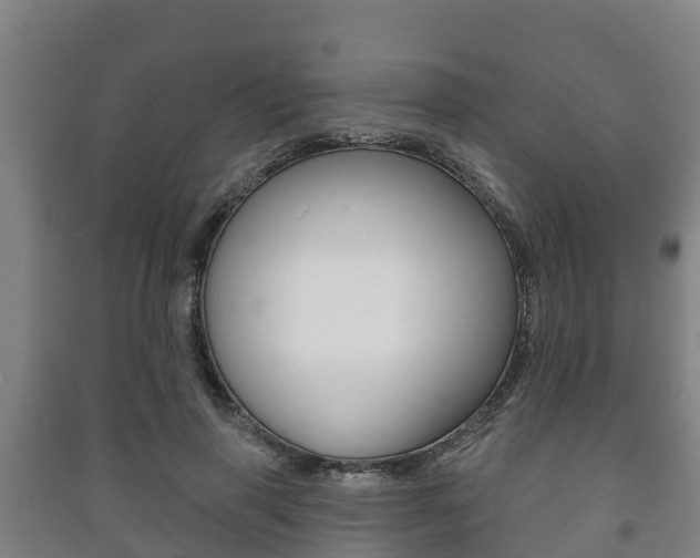 X0000091460645200708161108