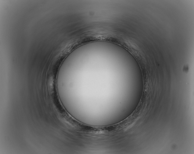 X0000091460646200708161108