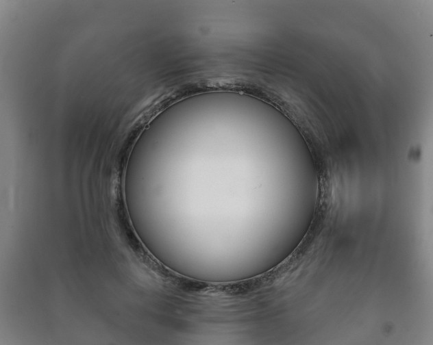 X0000091460648200708161108