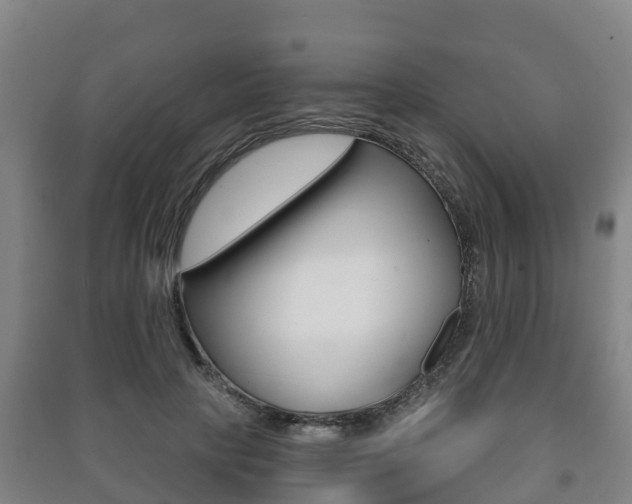 X0000091460649200708161108