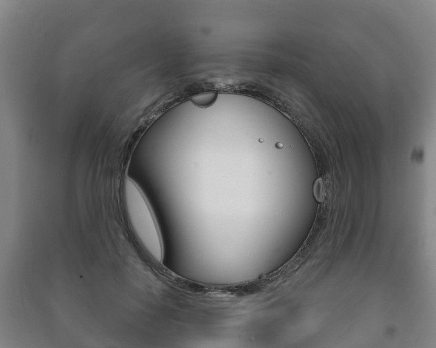X0000091460650200708161108