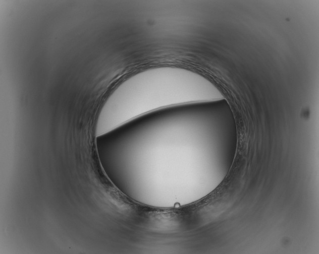 X0000091460652200708161108