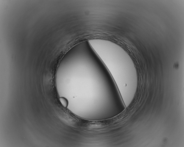 X0000091460653200708161108