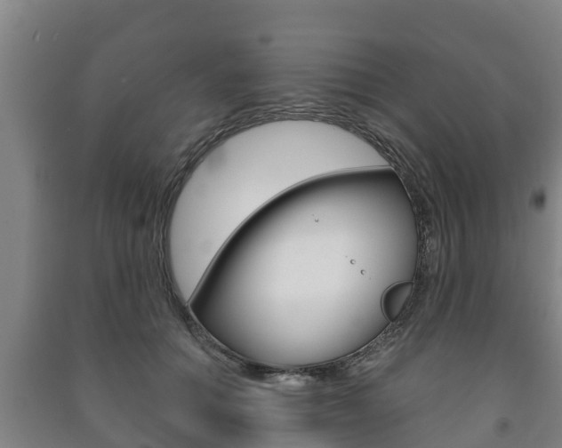 X0000091460654200708161108