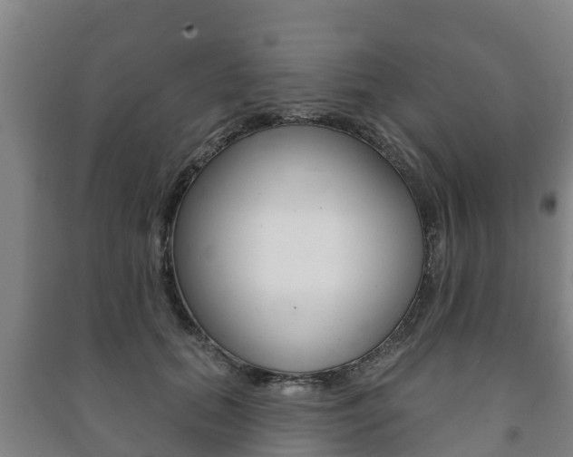 X0000091460655200708161108