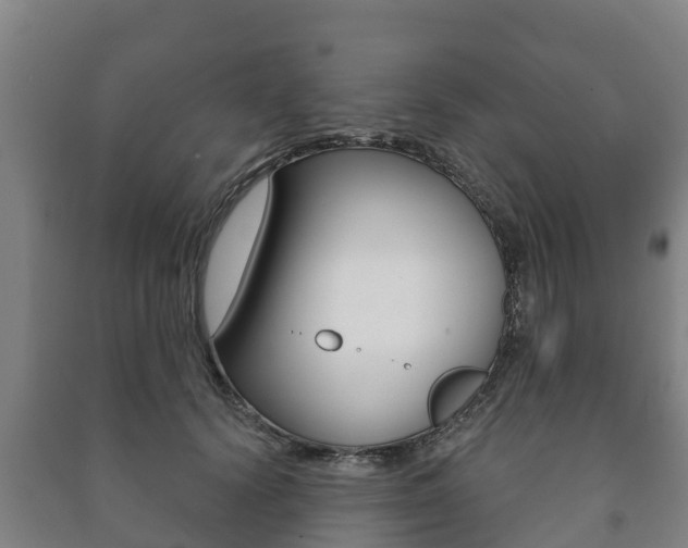 X0000091460656200708161108