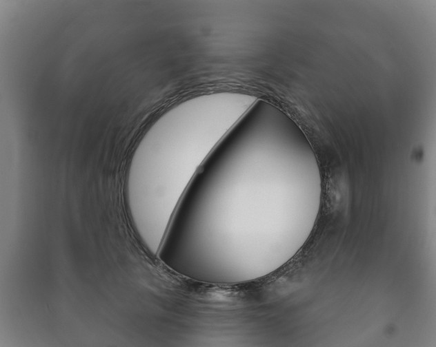 X0000091460657200708161108