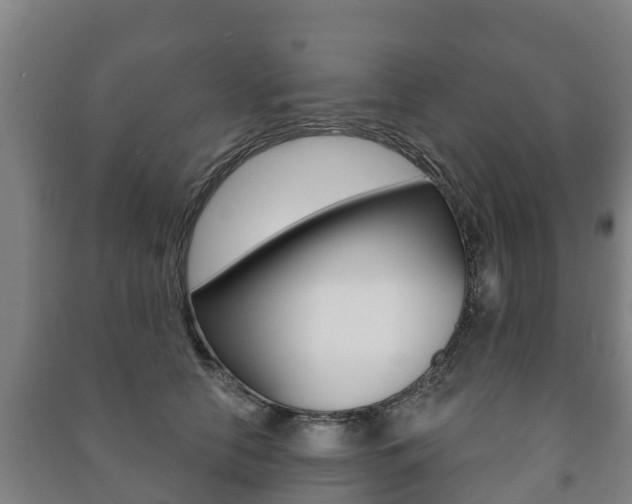 X0000091460658200708161108