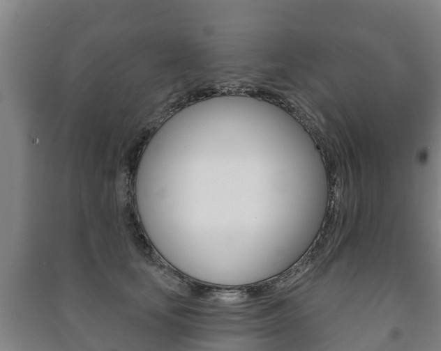 X0000091460659200708161108