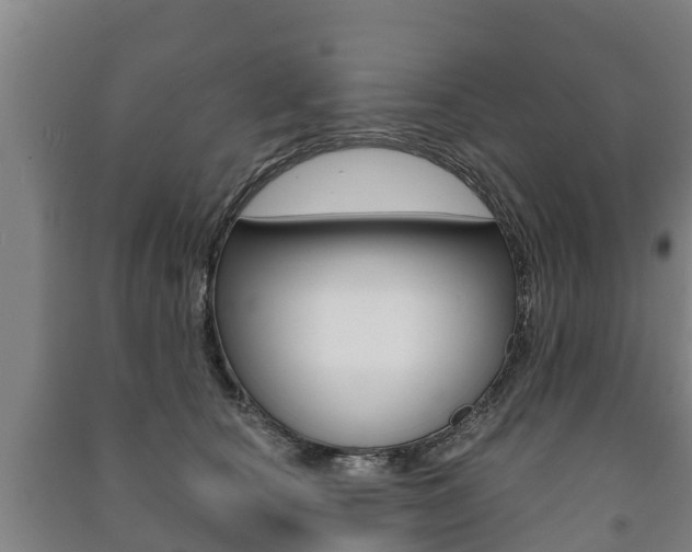 X0000091460660200708161108