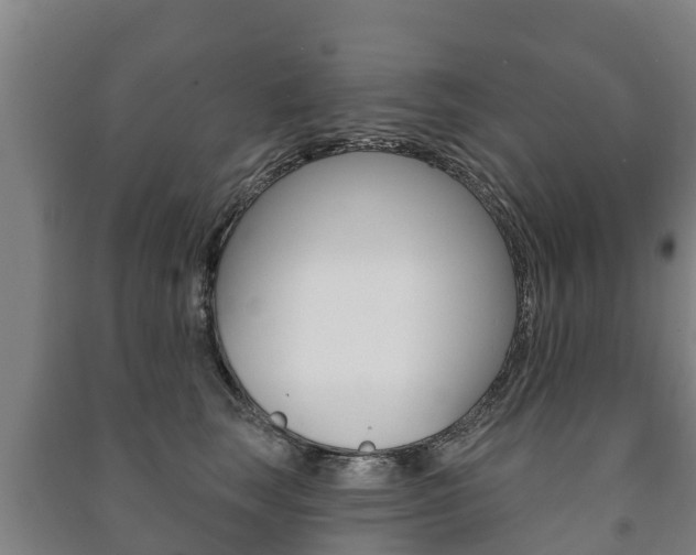 X0000091460663200708161108