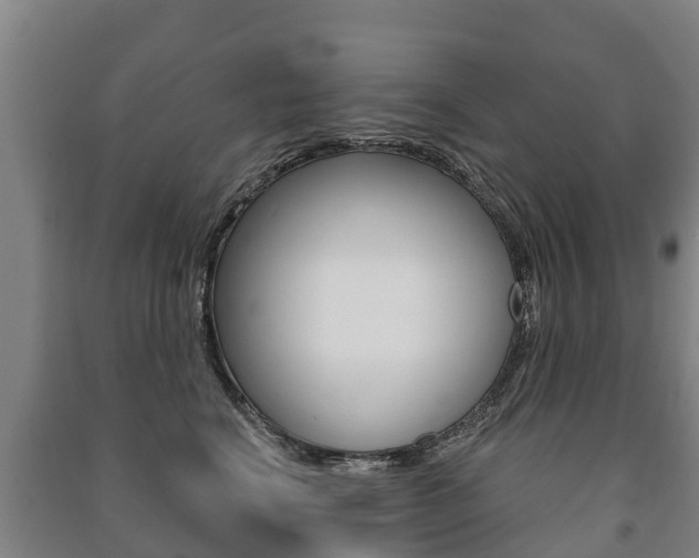 X0000091460664200708161108