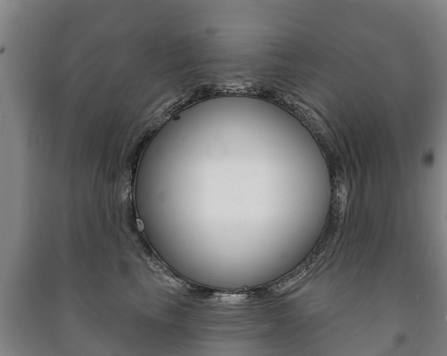 X0000091460665200708161108