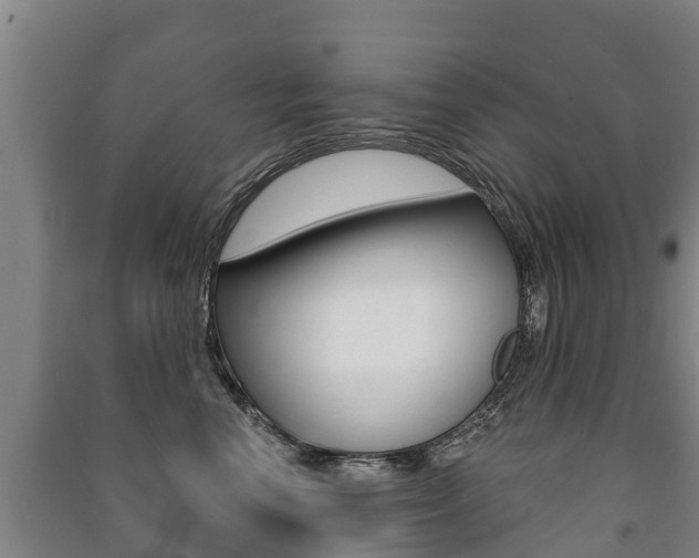 X0000091460666200708161108