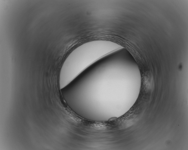X0000091460668200708161108