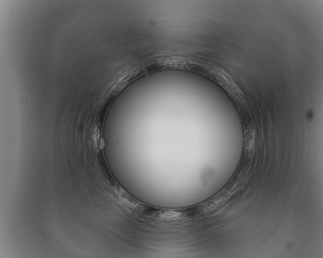 X0000091460669200708161108