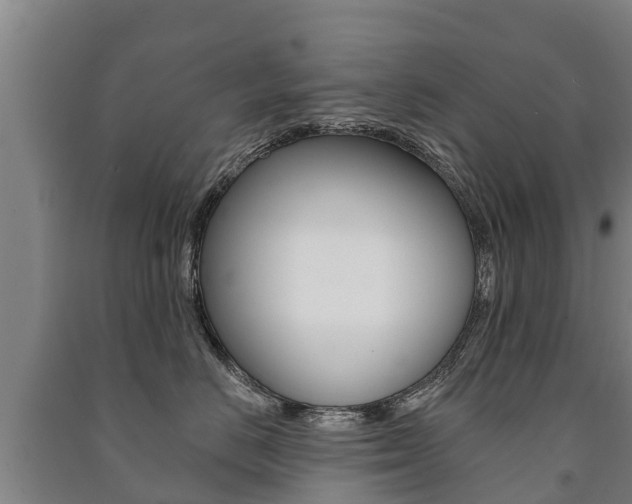 X0000091460670200708161108