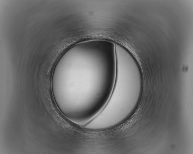 X0000091460673200708161107