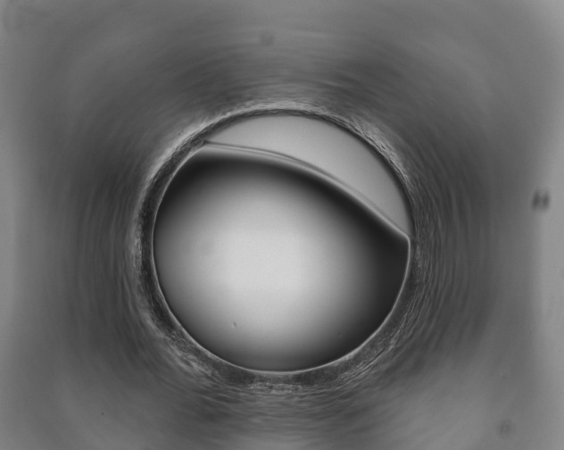 X0000091460676200708161107