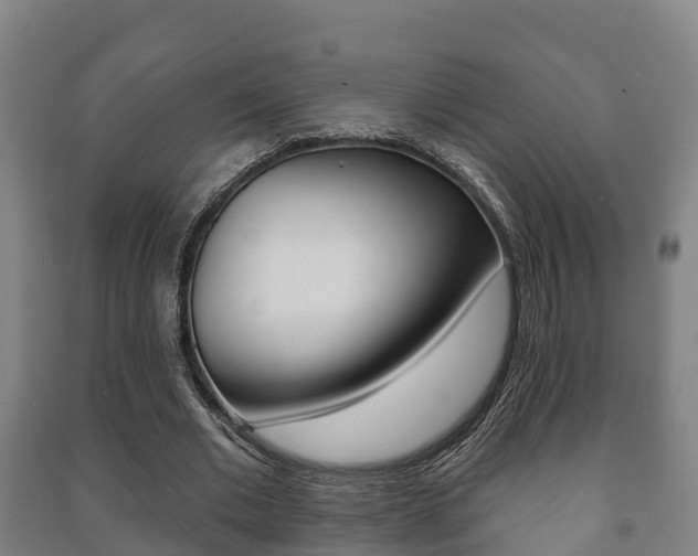 X0000091460677200708161107