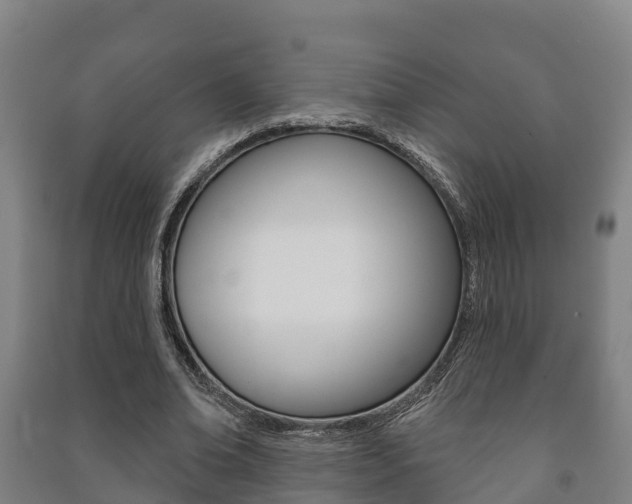 X0000091460678200708161107