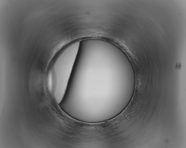 X0000091460679200708161107