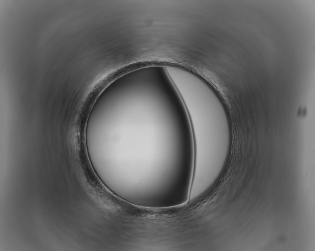 X0000091460680200708161107