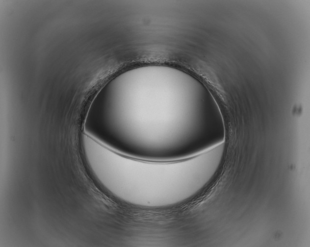 X0000091460681200708161107