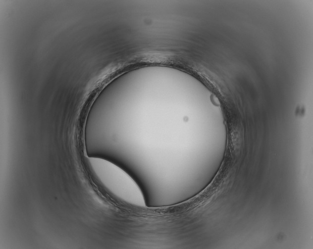X0000091460682200708161107