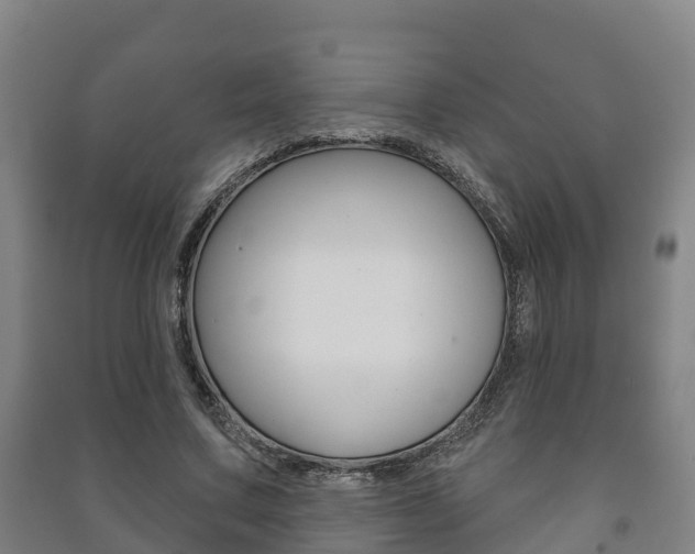 X0000091460683200708161107