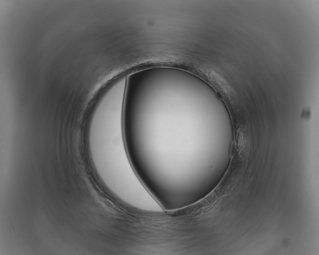 X0000091460684200708161107