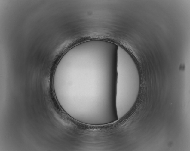 X0000091460686200708161107
