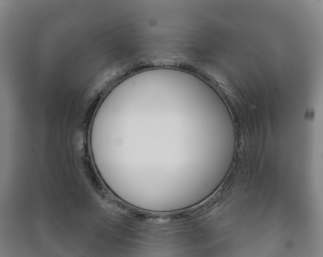 X0000091460687200708161107