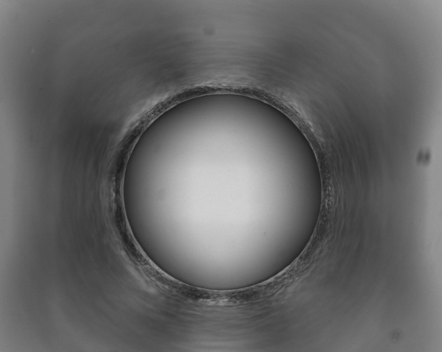 X0000091460688200708161107