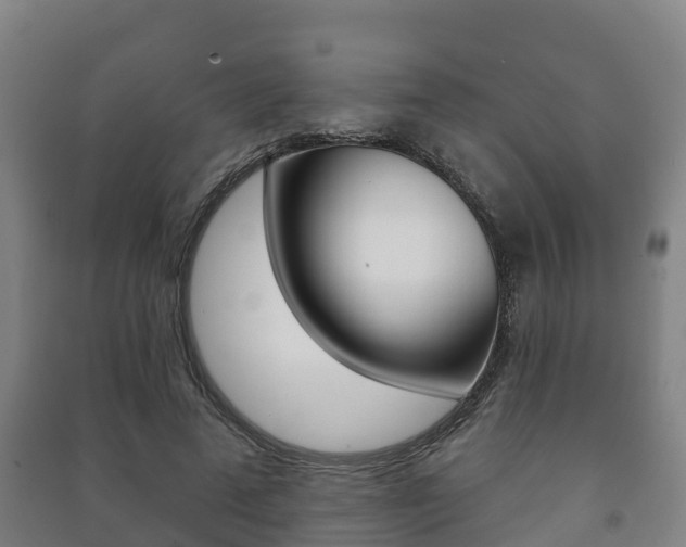 X0000091460689200708161107