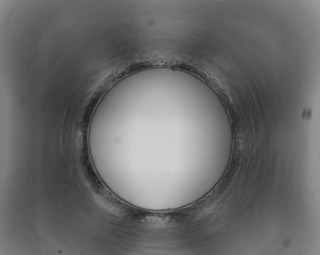 X0000091460690200708161107