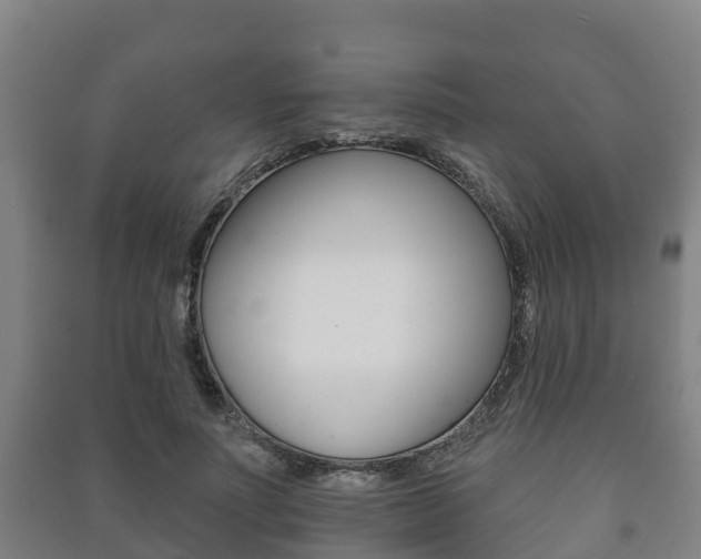 X0000091460691200708161107