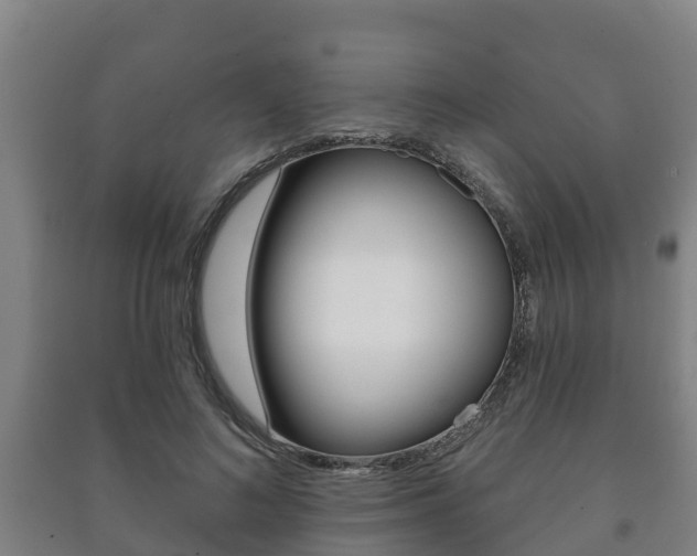 X0000091460692200708161107