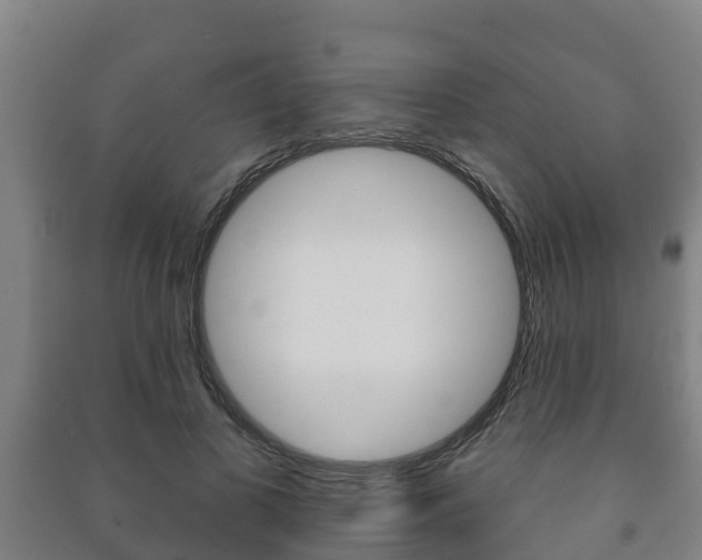 X0000091460693200708161107